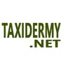 Taxidermy.net