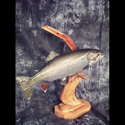 North American Fish and Birds Taxidermy Gallery