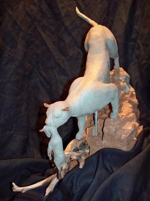 Taxidermy Scuptures