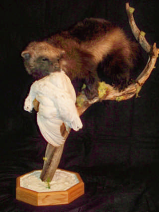 Wolverine Pedestal Mount with ptarmigan